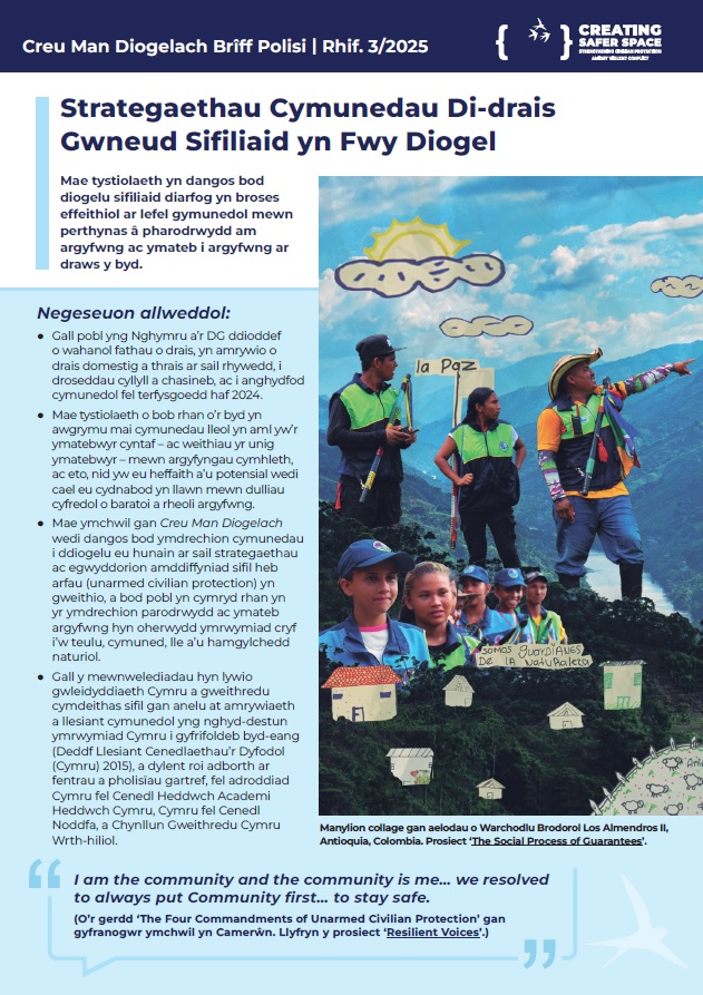 Policy Brief in Welsh